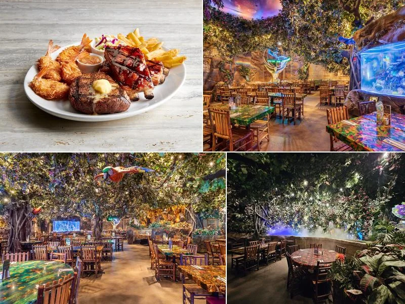 Rainforest Cafe business photo
